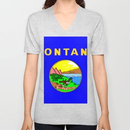 Flag of Montana V Neck T Shirt