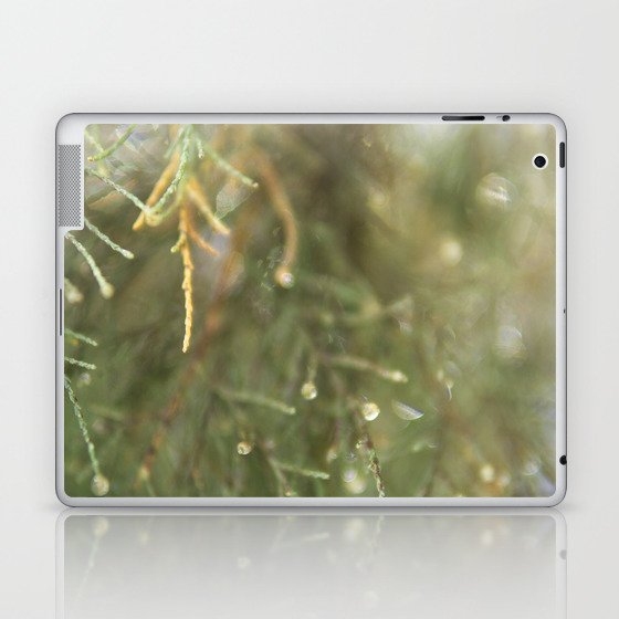 Pine Tree close up - Nature & botanical photography - Green simplistic image Laptop & iPad Skin