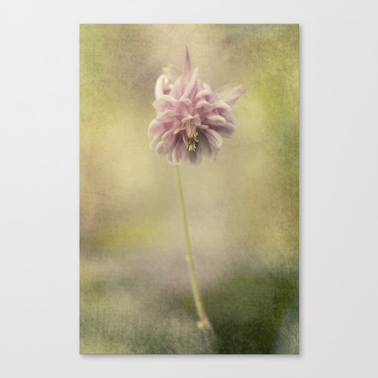 Columbine in LOVE Canvas Print