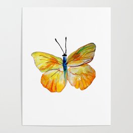 Yellow Butterfly Poster
