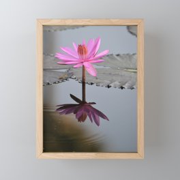Beautiful Lotus  Framed Mini Art Print