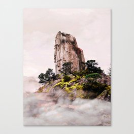 Overlooked Canvas Print