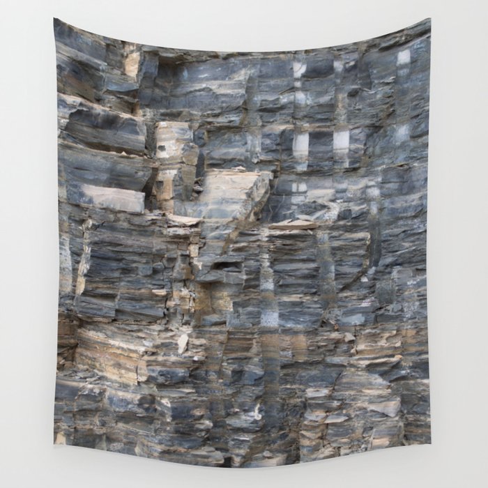 The Walcott Quarry Wall Tapestry