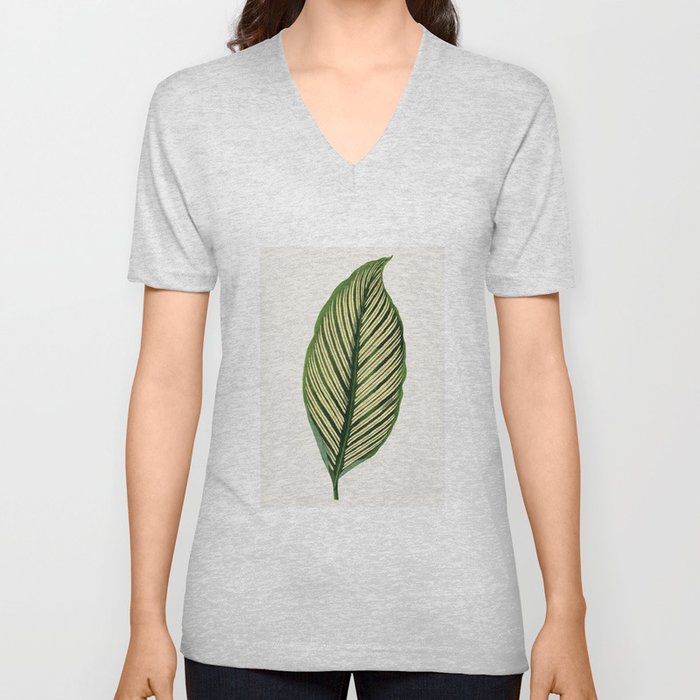 Maranta Leaf V Neck T Shirt