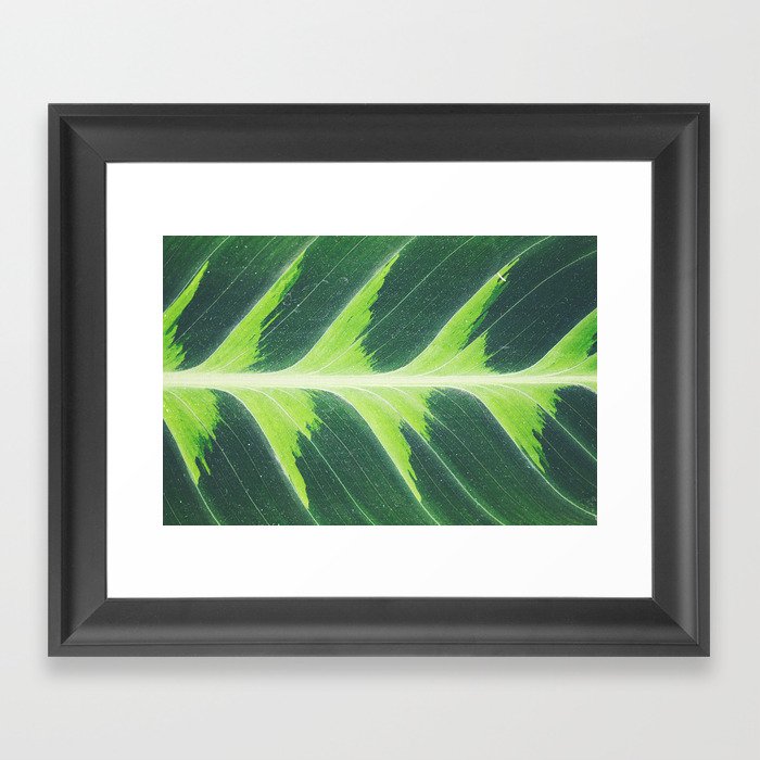Leaf green Framed Art Print