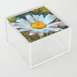 Artistic Close Up of a Marguerite Daisy Flower  Acrylic Box
