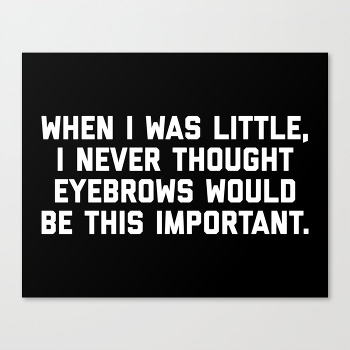 Eyebrows Are Important Funny Quote Canvas Print