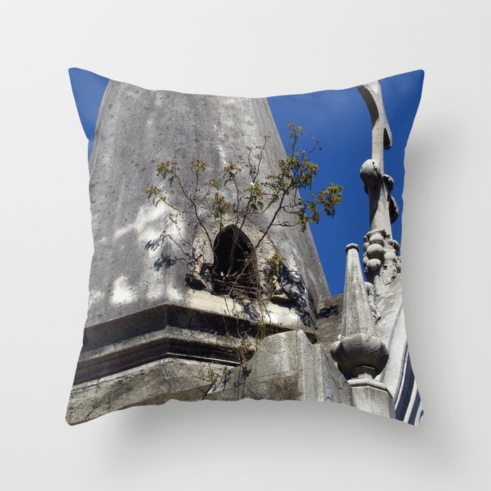 Argentina Photography - Old Church Overgrown By Plants Throw Pillow
