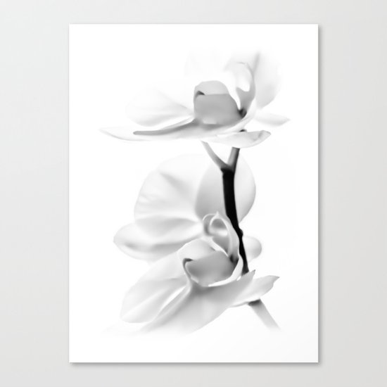 orchid Canvas Print