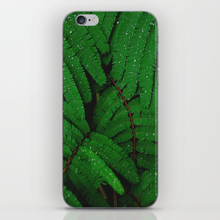 Layers Of Wet Green Fern Leaves Patterns In Nature iPhone Skin