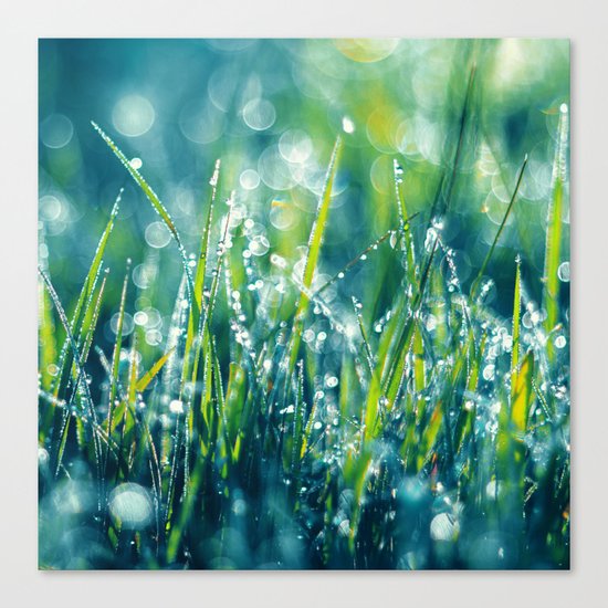 Morning Diamonds Canvas Print