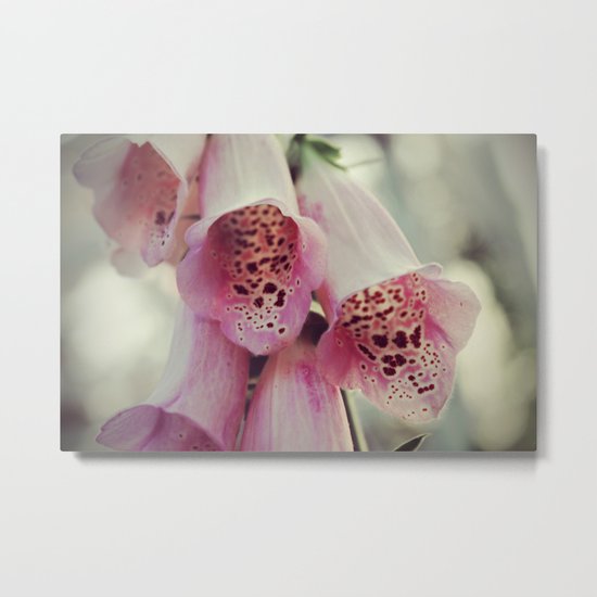 Fairy caps Metal Print