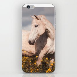 White horse on flower field, Lusitano horses, beautiful stallion. iPhone Skin