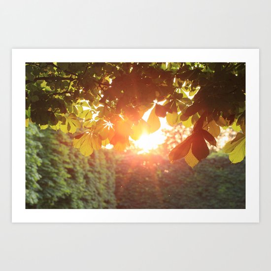 Magic Hour Art Print
