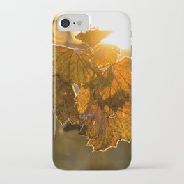 Frost Trimmed Grape Leaf  at Sunrise iPhone Case