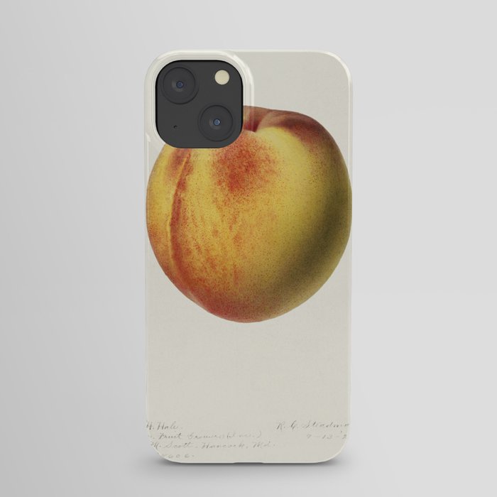 Peach (Prunus Persica) (1920) by Royal Charles Steadman. iPhone Case