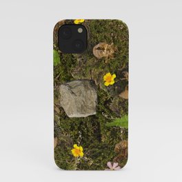 All the Little Things iPhone Case