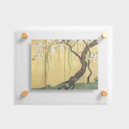 Cherry Tree Japanese Edo Period Six-Panel Gold Leaf Screen Floating Acrylic Print