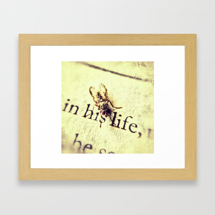 In His Life: The Portrait of a Fly Framed Art Print