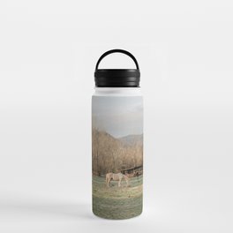 horses with the mountains Water Bottle