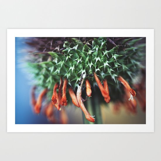 Unseen World Art Print