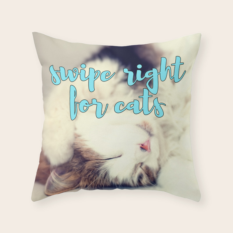swipe pillow