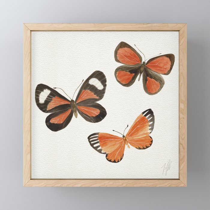 Orange Butterflies Framed Mini Art Print