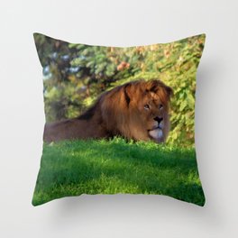 King of the Jungle - Lion deep in thought Throw Pillow