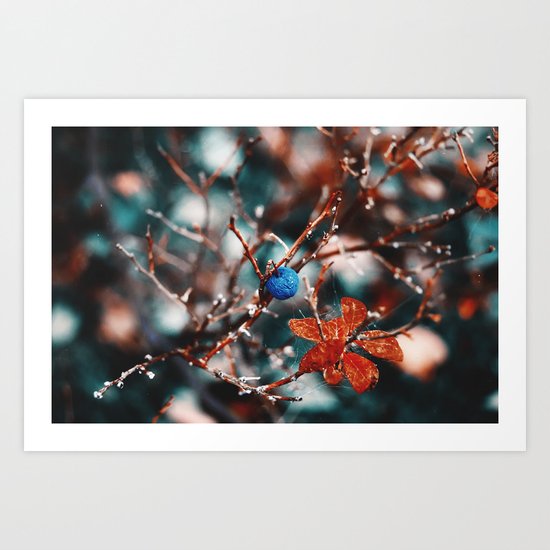 Blueberry Fall Art Print