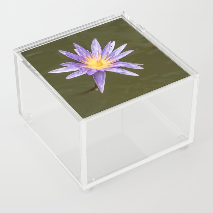Blue Lotus Acrylic Box