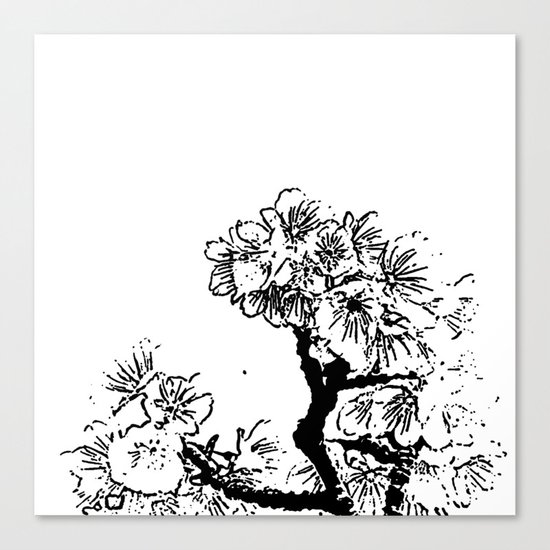 Cherry Blossom #7 Canvas Print