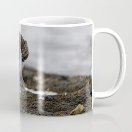 Dunlin Sandpiper | Wildlife Photography | Birds Coffee Mug