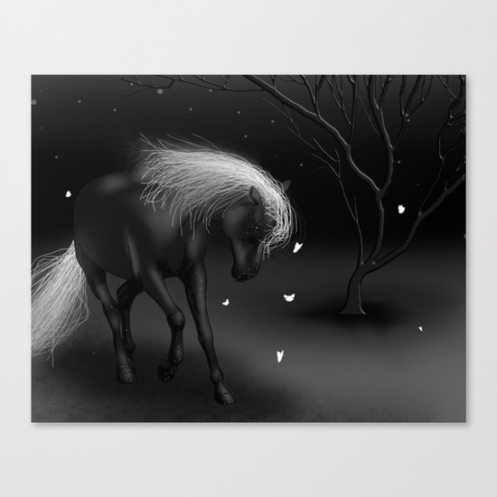 Black Horse Canvas Print