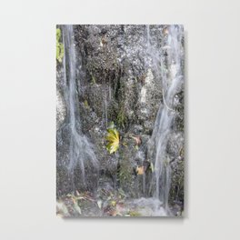 small watercourse, color photo Metal Print | Wasserlauf, Water, Wasser, Fotografie, Stones, Leaf, Herbstlaub, Autumnleaves, Nass, Wet 