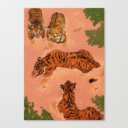 Tiger Beach Canvas Print