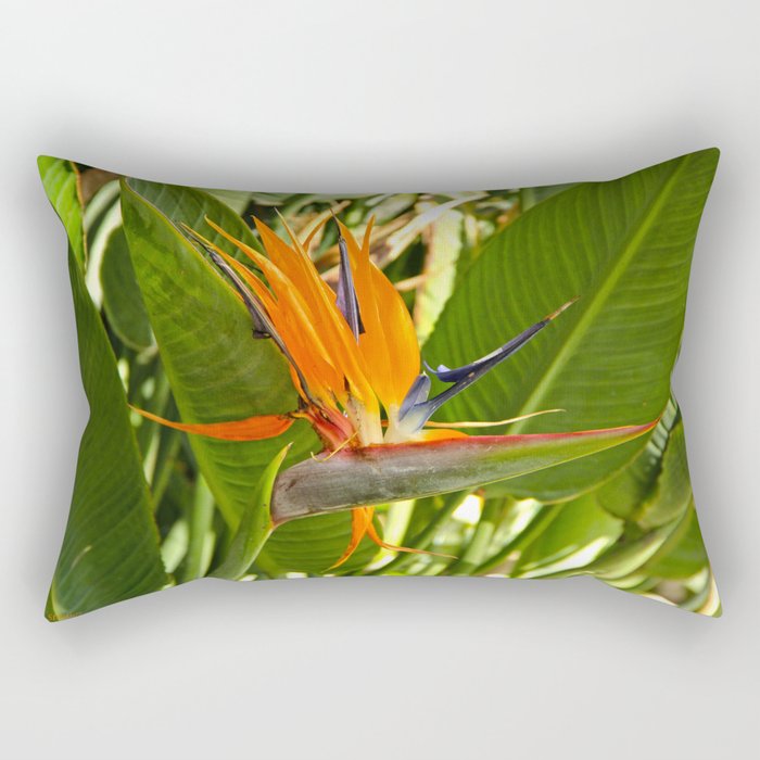 Bird Of Paradise Rectangular Pillow