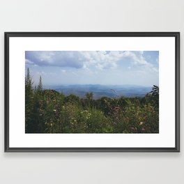 Blue Ridge Mountains & Flowers  Framed Art Print