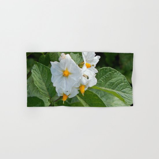 Potato Plant Flowers Hand & Bath Towel