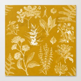 Yellow Mustard Vintage Floral Canvas Print