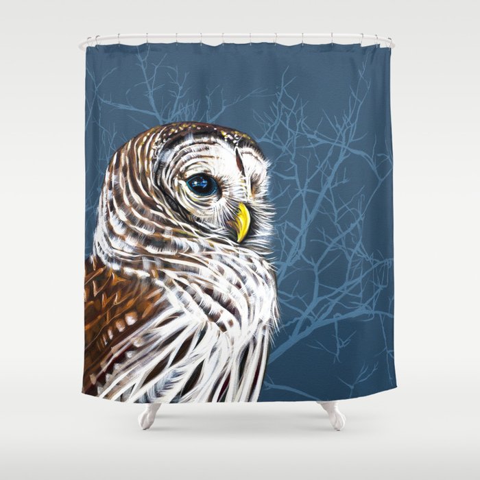 The Mystery Shower Curtain