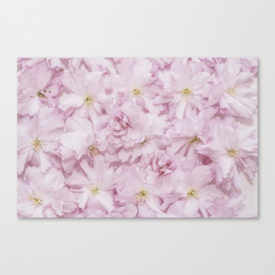 Sakura- cherryblossoms pattern Canvas Print