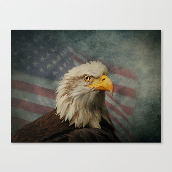 American Eagle Canvas Print