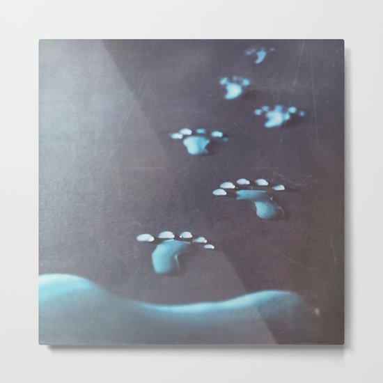 Pixie hunting... Metal Print