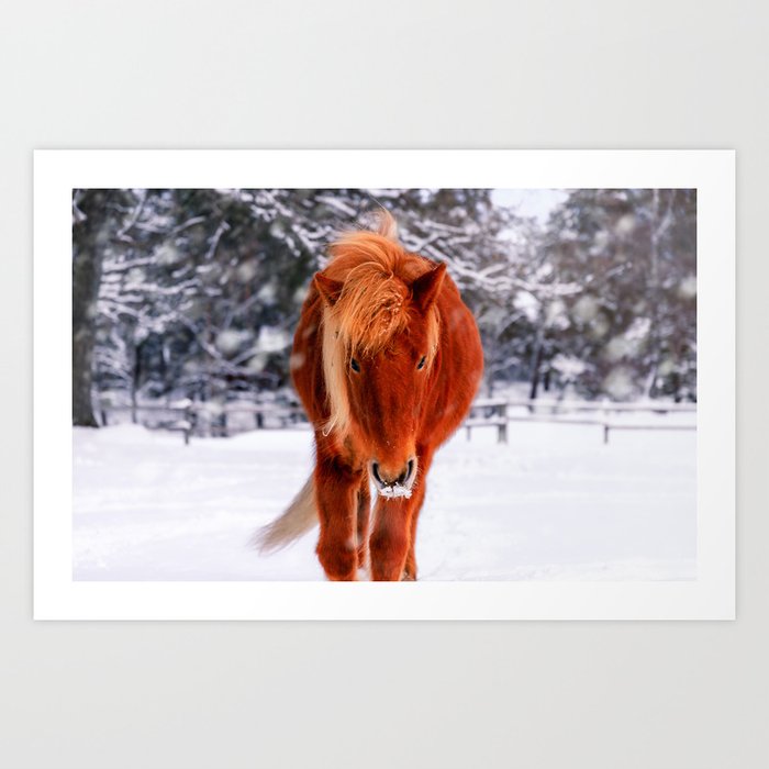 Chestnut Horse in Snowy Winter Landscape Art Print