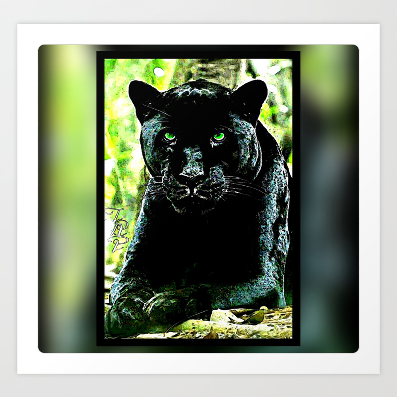 Panther Black Cat Green Eyes Canvas Art Poster Print Home Wall Decor