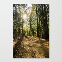 Light on for the Forest Canvas Print