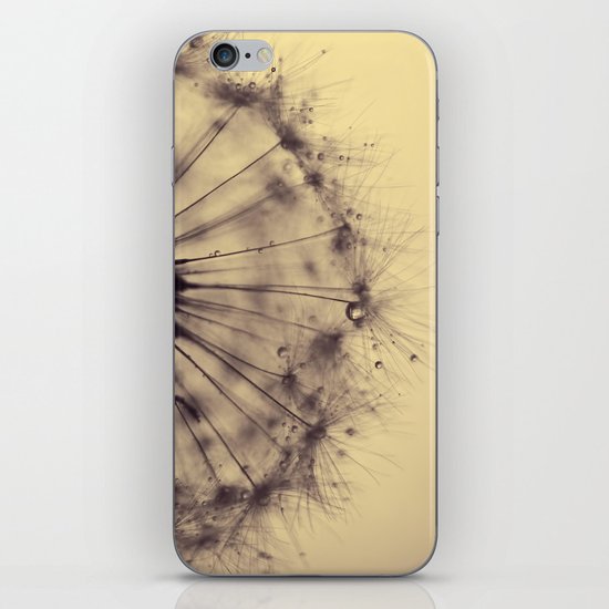 dusk - dandelion iPhone & iPod Skin