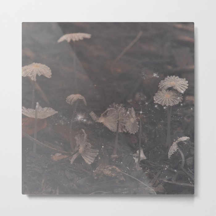 Magical Mushrooms Metal Print
