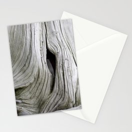 Tree Bark Detail in Japan - Organic Botanical Structures - Abstract Detail of Nature Wall Art Stationery Card