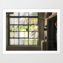 Warehouse Windows Art Print